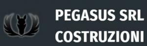 Impresa Edile Pegasus Srl