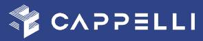 Impresa Edile Cappelli Bernardo Srl