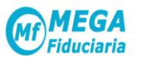 Megafiduciaria