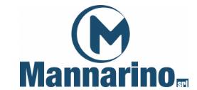 Mannarino Srl