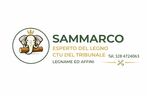 Esperto Del Legno Parquet Perito Consulente Ctu Del Tribunale