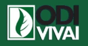 Odivivai