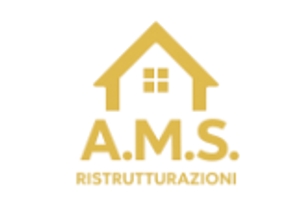 Logo di A.m.s. Group S.r.l.