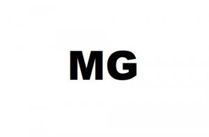 Michelangelo Group Srl