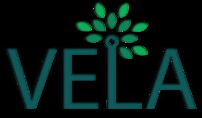 Vela S.r.l