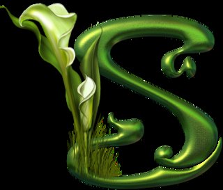 Seeco Srl