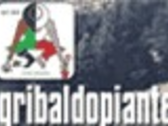 Piante Gribaldo