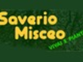Saverio Misceo