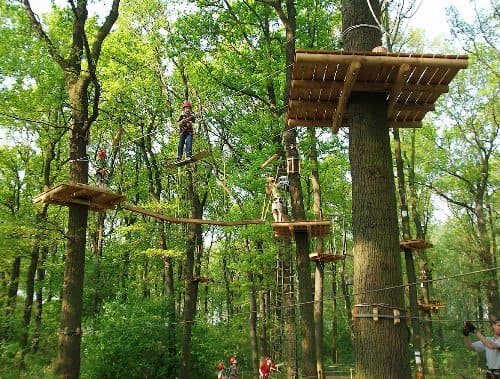 Il costo per la realizzazione di un parco avventura può superare i 100.000 euro.