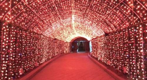 Un impianto di illuminazione LED a Milano 