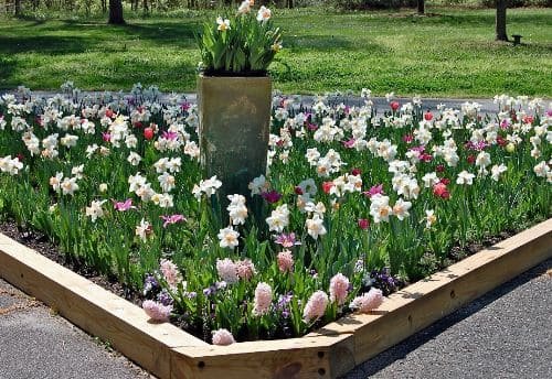 Una bordura per aiuole realizzata in legno.