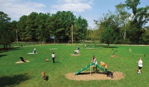 Un esempio di dog park privato con percorso agility.