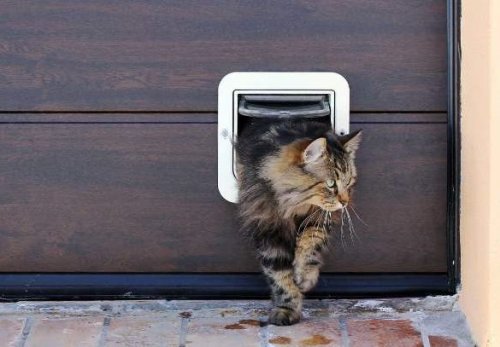 Gattaiola installata sulla porta basculante di un garage.