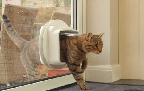 Una gattaiola installata su una porta a vetro.