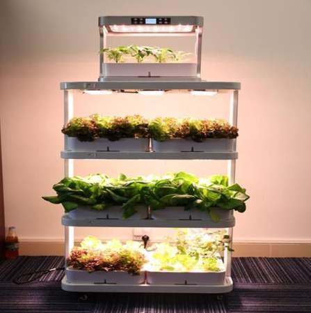 Un impianto idroponico per uso domestico.