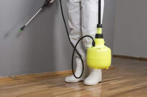 Il dettaglio di un intervento di disinfestazione da zecche in un'abitazione.