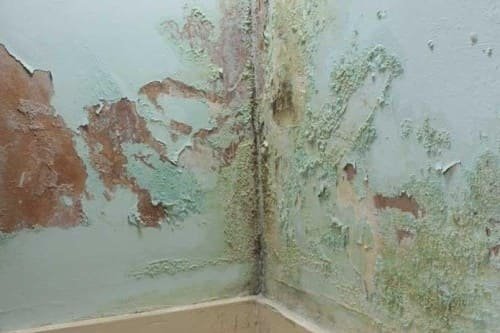 Un muro affetto da umidit&agrave; di risalita in una casa di Roma.