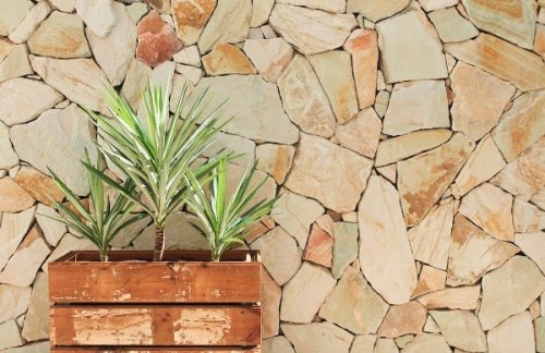 Una parete esterna in pietra