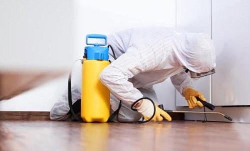 Preventivo disinfestazione. Un tecnico durante una disinfestazione da blatte.
