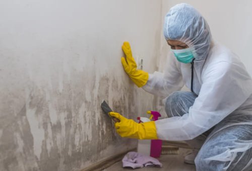 Intervento di risanamento di un muro umido a Milano.