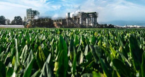 Una centrale termica per la cui realizzazione è stata necessaria la Valutazione di Impatto Ambientale.