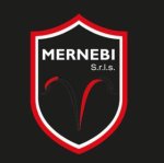 logo_Mernebi S.r.l.s.