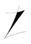 logo_Architetto Zappia Luca