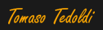 logo_STUDIO TECNICO TEDOLDI