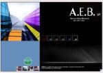 logo_A.E.B. APPALTI EDILI BONIFICHE srl