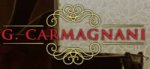 logo_Giorgio Carmagnani