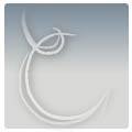 logo_Geom. Marco Zeni