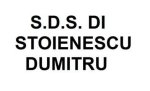 logo_S.D.S. DI STOIENESCU DUMITRU