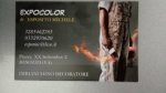 logo_EXPOCOLOR