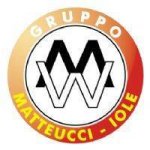 logo_Matteucci srl