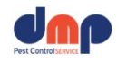 logo_DMP SERVICE S.R.L.