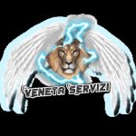 logo_Veneta Servizi S.a.s.