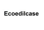 logo_Ecoedilcase S.r.l.