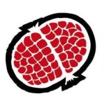 logo_Cooperativa IL MELOGRANO