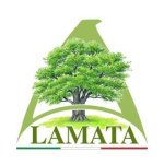 logo_LAMATA DI ALESSIO AMATA
