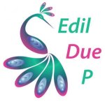 logo_EDIL DUE P