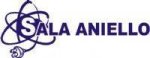 logo_Sala  Aniello Impianti