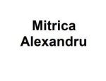 logo_Mitrica Alexandru