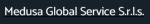 logo_Medusa Global Service