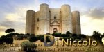 logo_DI NICCOLO Movimento Terra