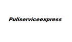 logo_Puliserviceexpress
