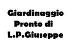 logo_Not Solo Verde Di L.P.Giuseppe