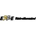 logo_ESSE RISTRUTTRAZIONI DI  D'ALTERIO