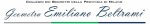 logo_Geometra Emiliano Beltrami