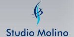 logo_ING. MOLINO ANDREA BRUNO