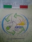 logo_Impresa Italiana Impianti